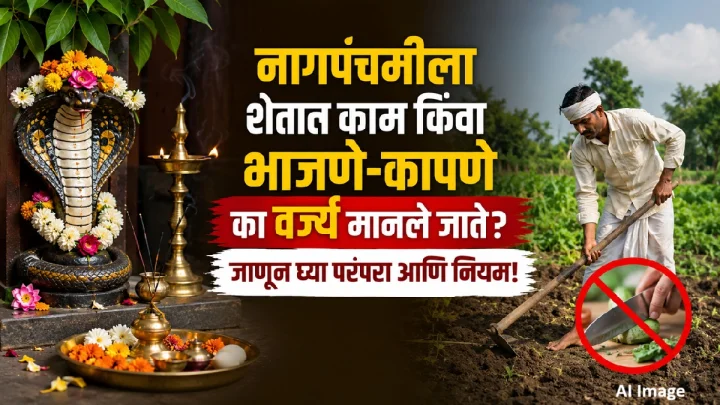 Nag Panchami 2026 : नागपंचमीला शेतात काम किंवा भाजणे-कापणे का वर्ज्य मानले जाते? जाणून घ्या परंपरा आणि नियम!