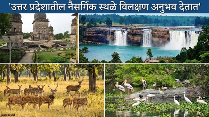 धार्मिक स्थळांव्यतिरिक्त, उत्तर प्रदेशातील नैसर्गिक स्थळे विलक्षण अनुभव देतात; भेट दिल्यावर तुम्हाला पुन्हा परत यावेसे वाटेल