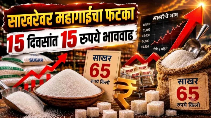 साखरेचे भाव ६५ रुपये प्रति किलोवर; १५ दिवसांत १५ रुपयांची वाढ—भाव का वाढत आहेत?