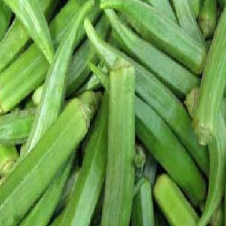 constipation remedies