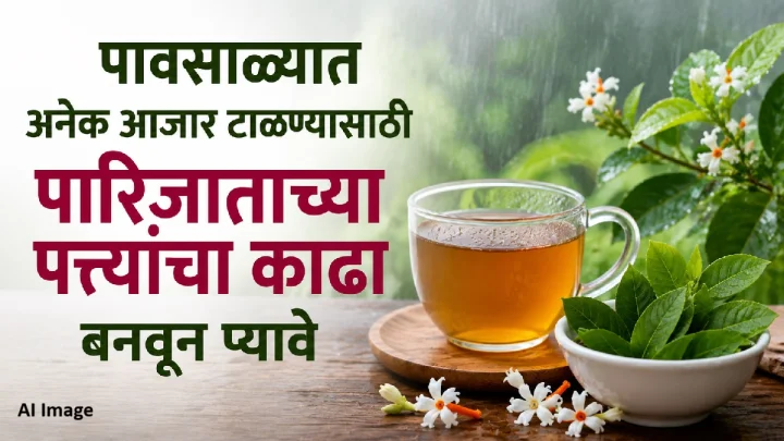 पावसाळ्यात आजारांपासून दूर राहायचंय? पारिजातकाच्या पानांचा काढा पिण्याचे फायदे जाणून घ्या