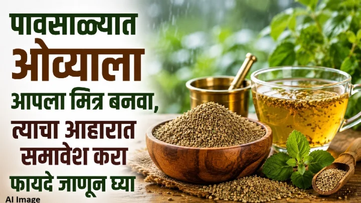 पावसाळ्यात ओवा ठरेल आरोग्याचा मित्र! आहारात समावेश केल्याने मिळू शकतात ‘हे’ फायदे