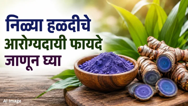 निळी हळद आरोग्यासाठी ठरते फायदेशीर? जाणून घ्या तिचे ‘हे’ आरोग्यदायी फायदे