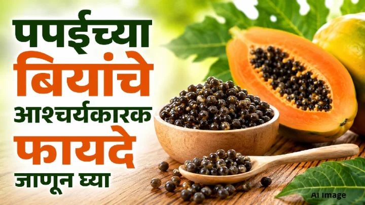 पपईच्या बिया फेकून देऊ नका! आरोग्यासाठी फायदेशीर ठरू शकतात, जाणून घ्या आश्चर्यकारक फायदे