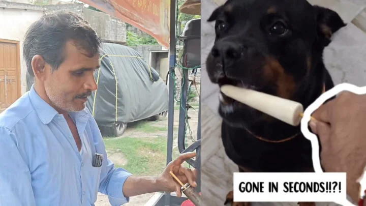 Dog Friendly Ice cream मुक्या प्राण्यांसाठी बनवली विशेष आईस्क्रीम; कुल्फीवाल्या अंकलने जिंकली नेटकऱ्यांची मनं!