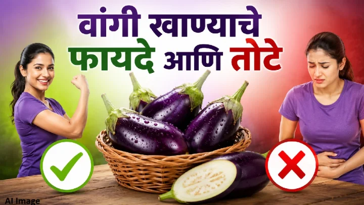 वांगी खाण्याचे फायदे आणि तोटे जाणून घ्या; ‘या’ लोकांनी वांगी खाताना घ्या विशेष काळजी