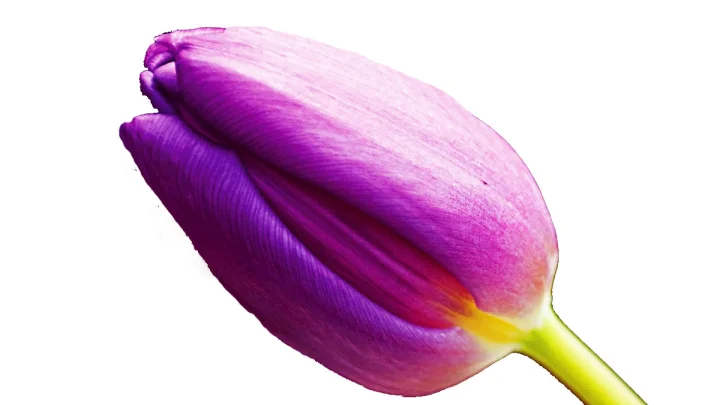 Vaginal Burning योनीत वारंवार जळजळ होतेय? तुमचा आहारात असू शकतं कारण; जाणून घ्या काय खाणे टाळावे!