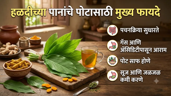 रिकाम्या पोटी हळदीचं पान खाण्याचे फायदे, डॉक्टरांनी सांगितलं पोटाचे सर्व त्रास निघून जातात!