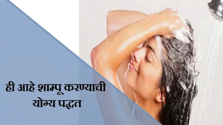 दररोज शॅम्पूने केस धुवावेत का? जाणून घ्या तज्ज्ञांचा सल्ला आणि योग्य पद्धत