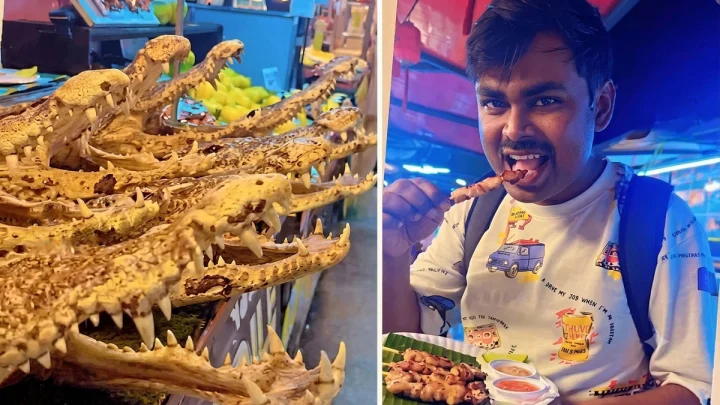 थायलंडमध्ये मगरीचे मांस खाणे उज्जैनच्या अधिकाऱ्याला पडले महाग; सोशल मीडियावरील व्हिडिओमुळे खळबळ!