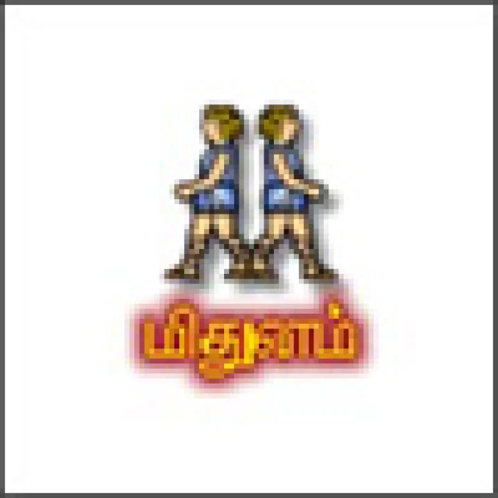 மிதுனம் - சனிப் பெயர்ச்சி பலன்கள் (16.12.2014 முதல் 17.12.2017)