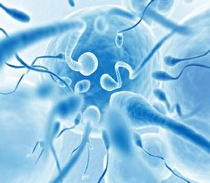 DEALING WITH INFERTILITY?-MEN ARE EQUALLY RESPONSIBLE- DR HRISHIKESH PAI