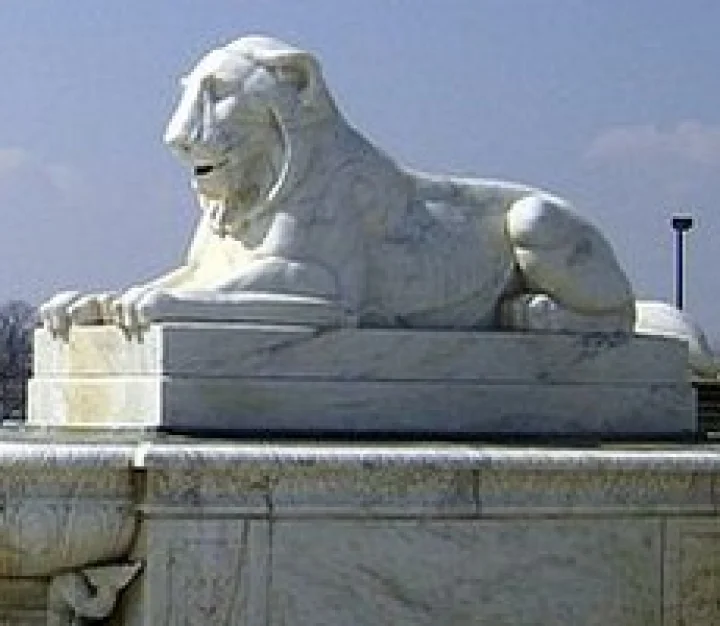 டெட்ராய்ட்