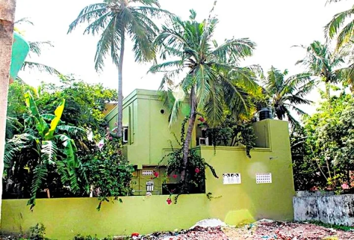 மரம், செடி, கொடிகள் வைப்பதற்கான வாஸ்து முறைகள்