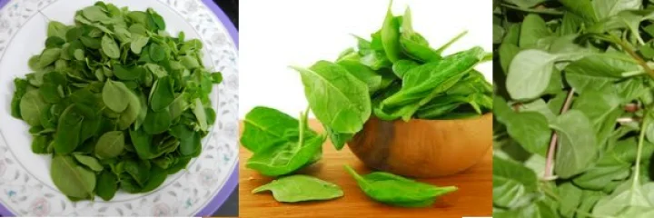 கீரையின் மகத்துவம்