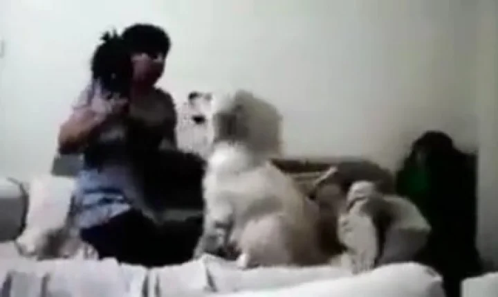 குழந்தையை அடிக்கும் அம்மாவை தடுக்கும் நாய் : பாச வீடியோ