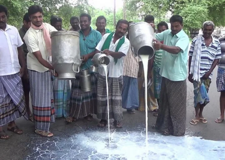 દૂધમાં ભેળસેળ