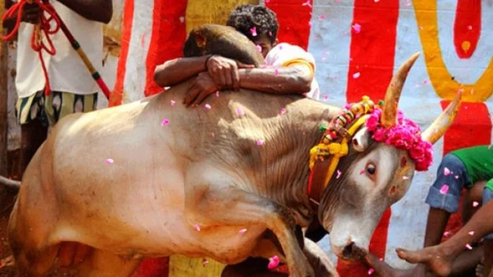 પુરૂષ બંધન તોડી નાખતો 