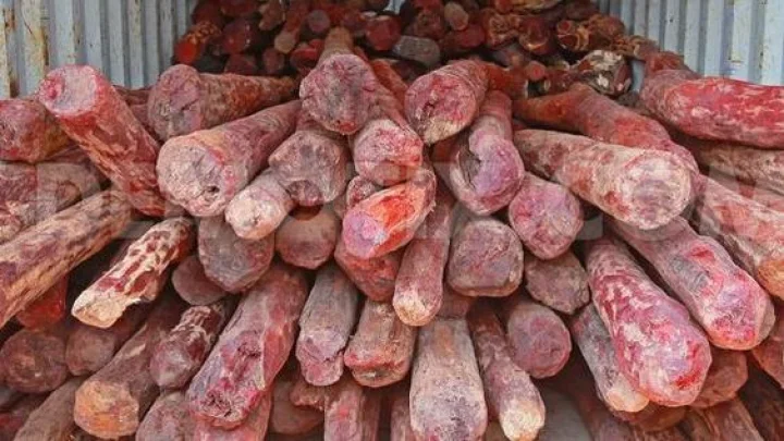 लातूर मध्ये पोलिसांनी पकडले 12 लाखांचे चंदन