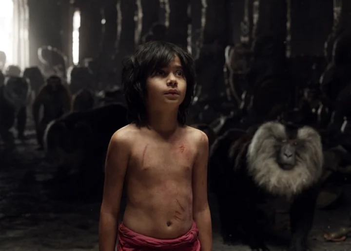 தி ஜங்கிள் புக்