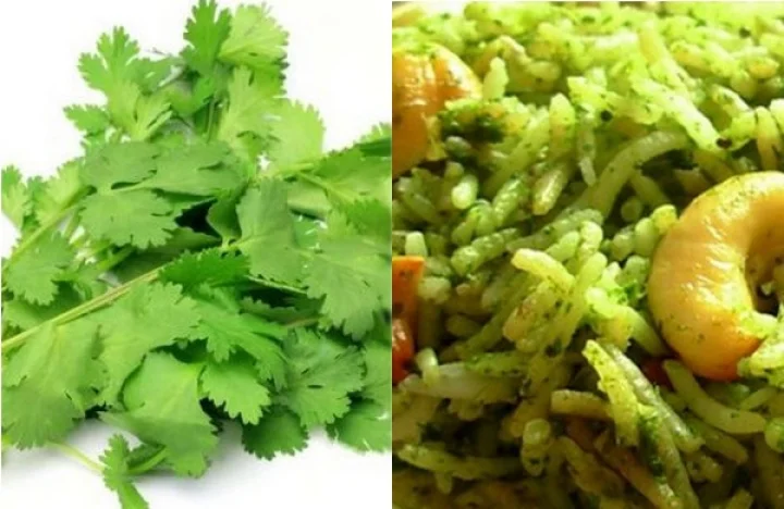 கொத்தமல்லி