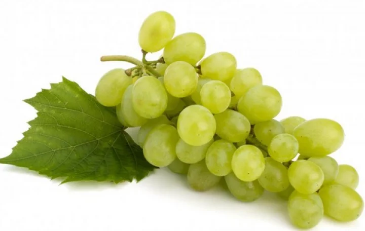 மருத்துவக் குணங்கள் நிறைந்த திராட்சை