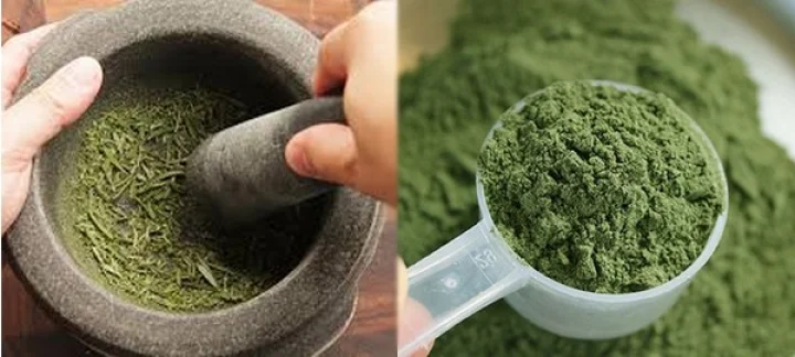 மூலிகைப் பொடிகளும், அதன் பயன்களும்