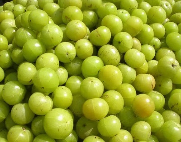 ரத்த சோகையை போக்கும் நெல்லிக்காய் ஜாம்