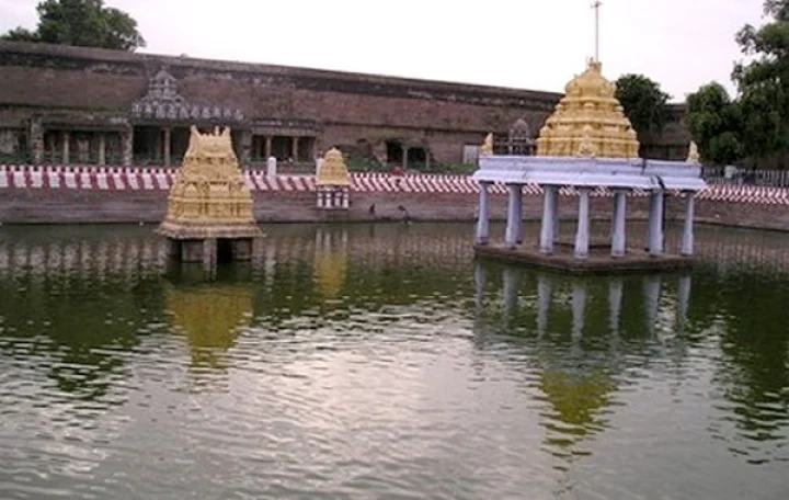 குளங்களில் காசு போடும் பழக்கம்