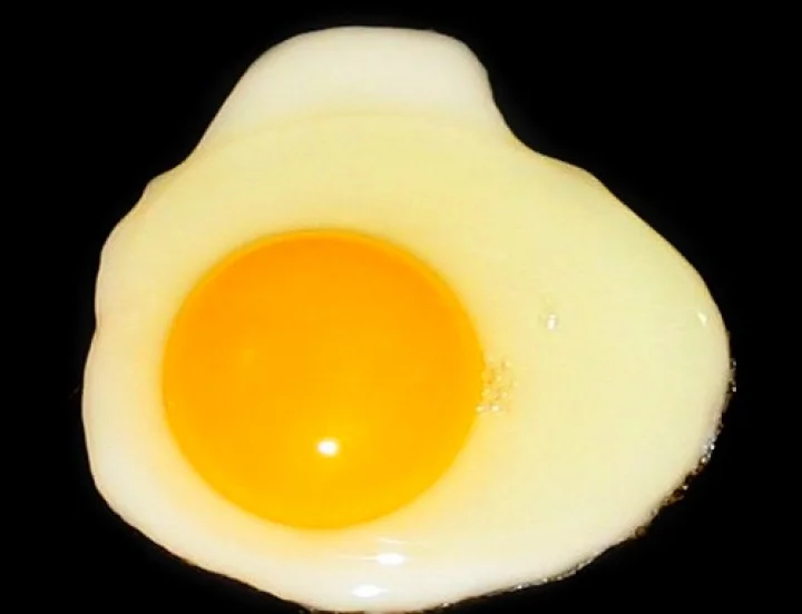 இந்தியாவுக்குள் புகுந்த போலி முட்டைகள்