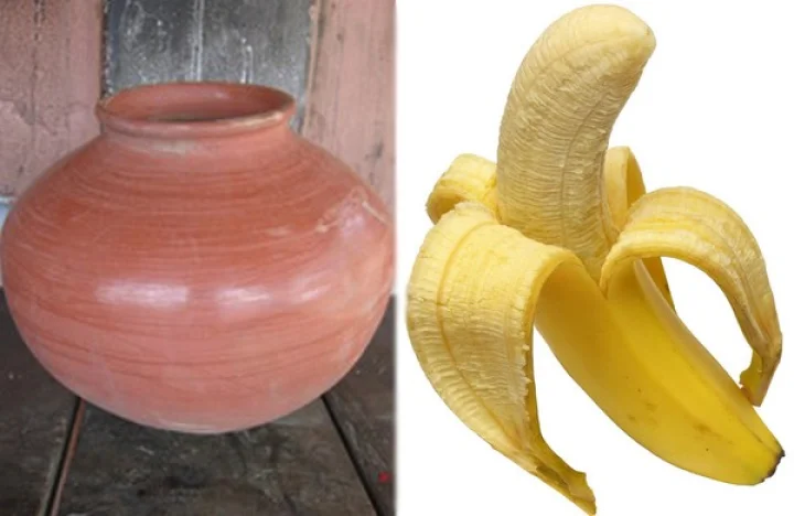 குடிநீரை இயற்கையாக சுத்திகரிக்கும் முறைகள் என்ன?