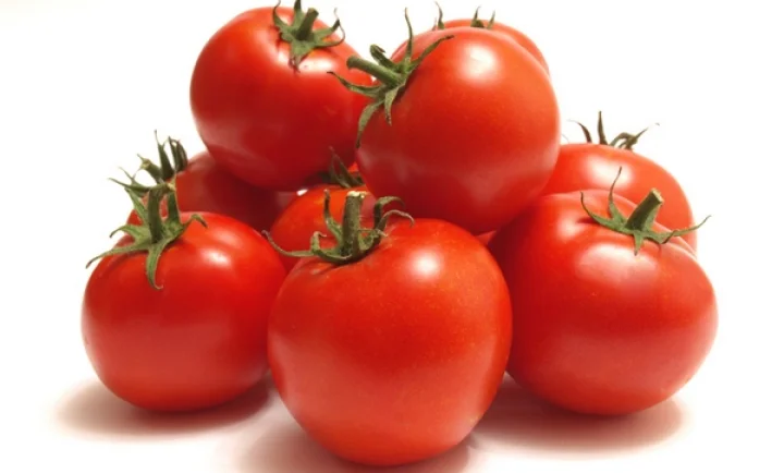 தக்காளியில் காய்த்துளைப்பானைக் கட்டுப்படுத்தும் முறைகள்…