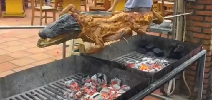 கிரில் சிக்கன் போல் கிரில் முதலை (வீடியோ)