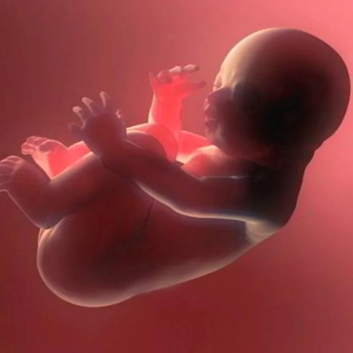 आत्मा गर्भात कधी प्रवेश करतो ?