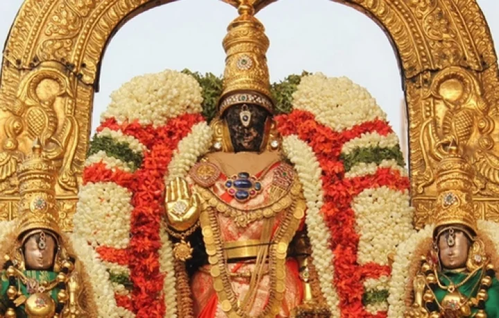 திருவல்லிக்கேணி பார்த்தசாரதி பெருமாள் கோயில் சிறப்புகள்!!