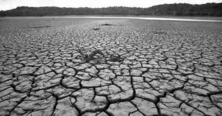 வறட்சி மாநிலமாக கேரளா அறிவிப்பு