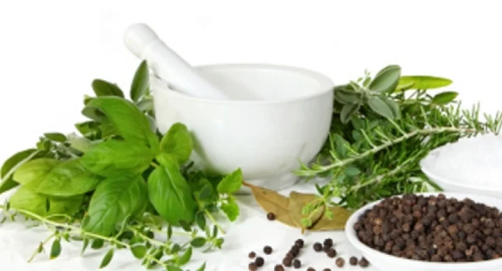 இயற்கை மருத்துவம்