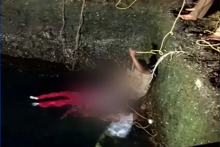 2016 சிறப்பு பார்வை