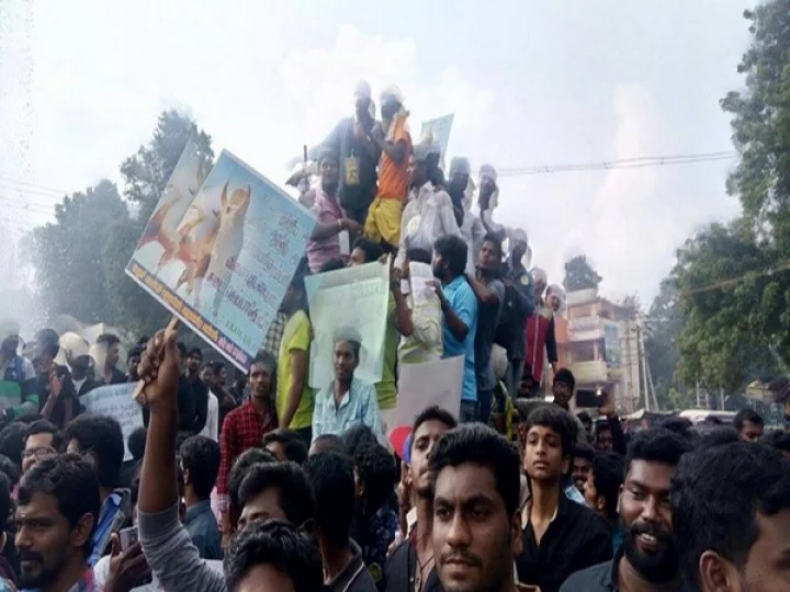 மாணவர்கள் போராட்டங்கள் தீவிரம் - நடக்குமா ஜல்லிக்கட்டு?