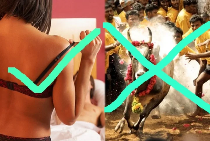 பாலியல் தொழிலுக்கு அனுமதி, ஜல்லிக்கட்டுக்கு அனுமதி இல்லை: நடிகர் மயில்சாமி விளாசல்!