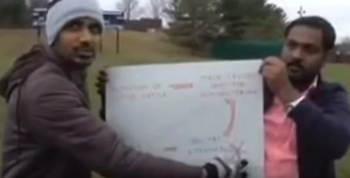 ஜல்லிக்கட்டு