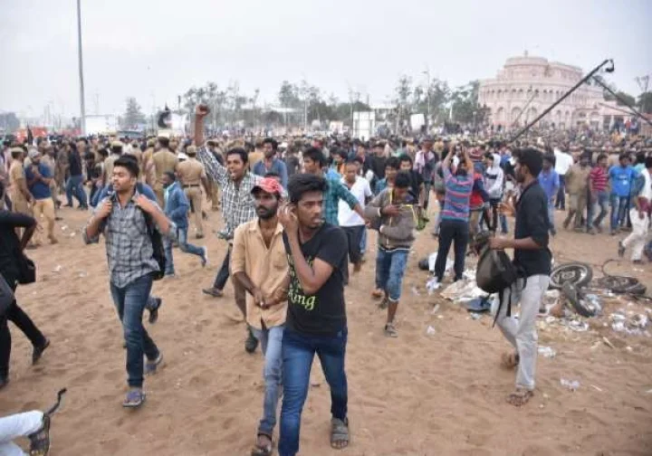 Jallikattu