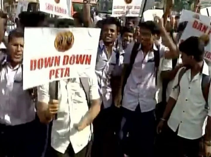 தமிழக போராட்டத்தின் எதிரொலி; பீட்டாவிற்கு கர்நாடகாவிலும் எதிர்ப்பு