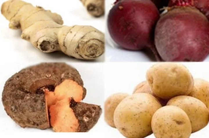 நிலத்தடியில் விளையும் காய்கறிகளில் உள்ள சத்துக்களை பற்றி....