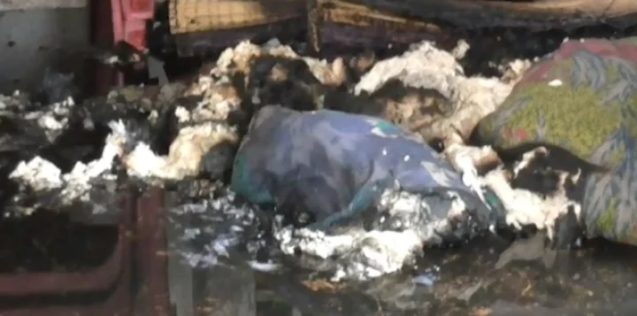 விருதுநகர் அருகே டி.வி. வெடித்து மாணவர் உயிரிழப்பு