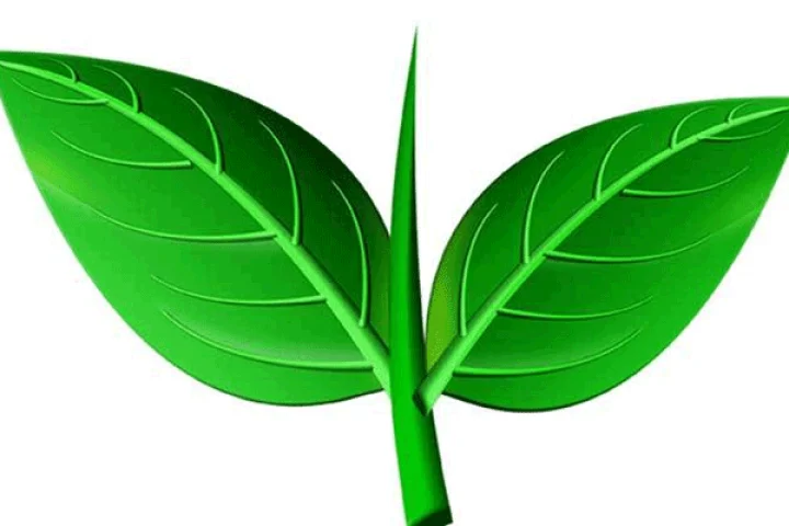 இரட்டை இலை விவகாரம்: தினகரன் தரப்புக்கு மேலும் ஒரு வாய்ப்பு