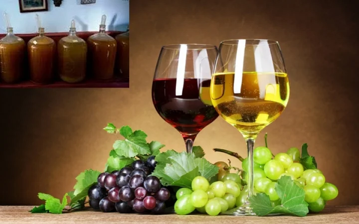 ரம்மிற்கு புகழ்பெற்ற கியூபாவில் இப்போது அந்த ஒயின்!!