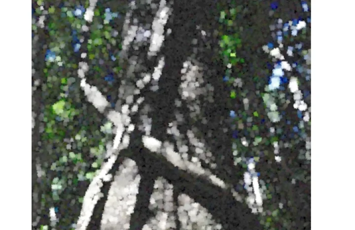 பாம்பாகவும் முதலையாகவும் மாறும் மர்ம மரம்