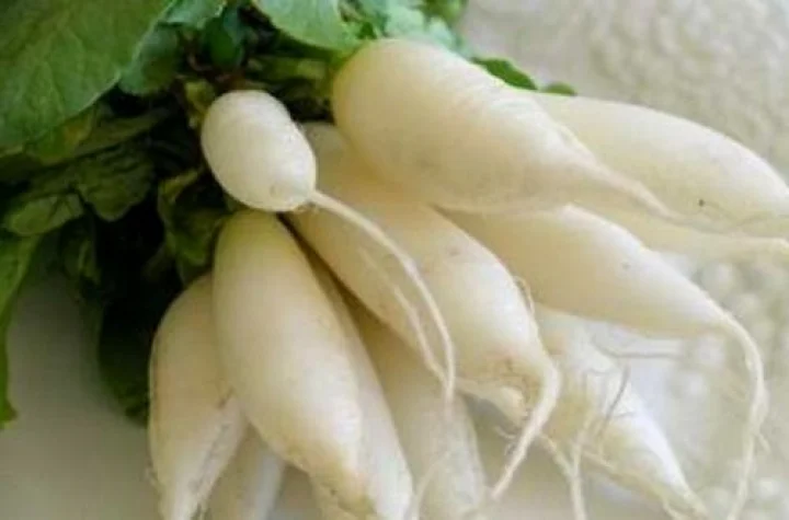 சிறுநீரக கற்களை கரைத்திடும் முள்ளங்கி!