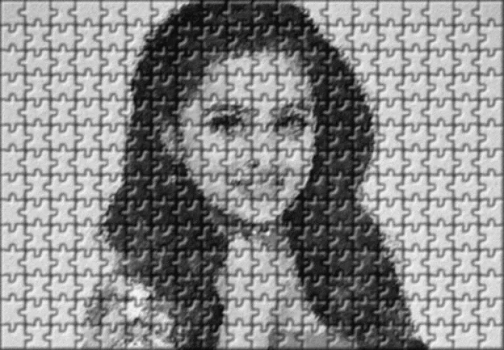 காதல் வலையில் ரிப்பன் நாயகி!!